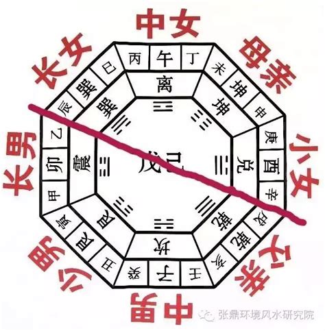 八字陰陽|八字基礎教學,陰陽,五行,干支,廿四節氣（20分鐘了解）